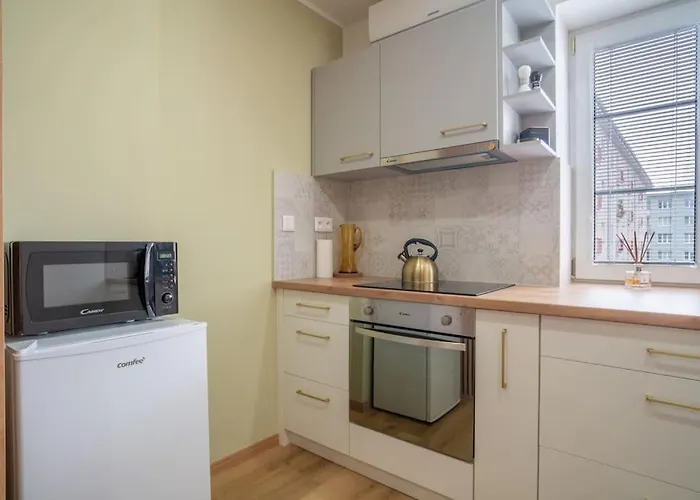 Charming 2-bedroom In The Wider Center Of براتسيلافا